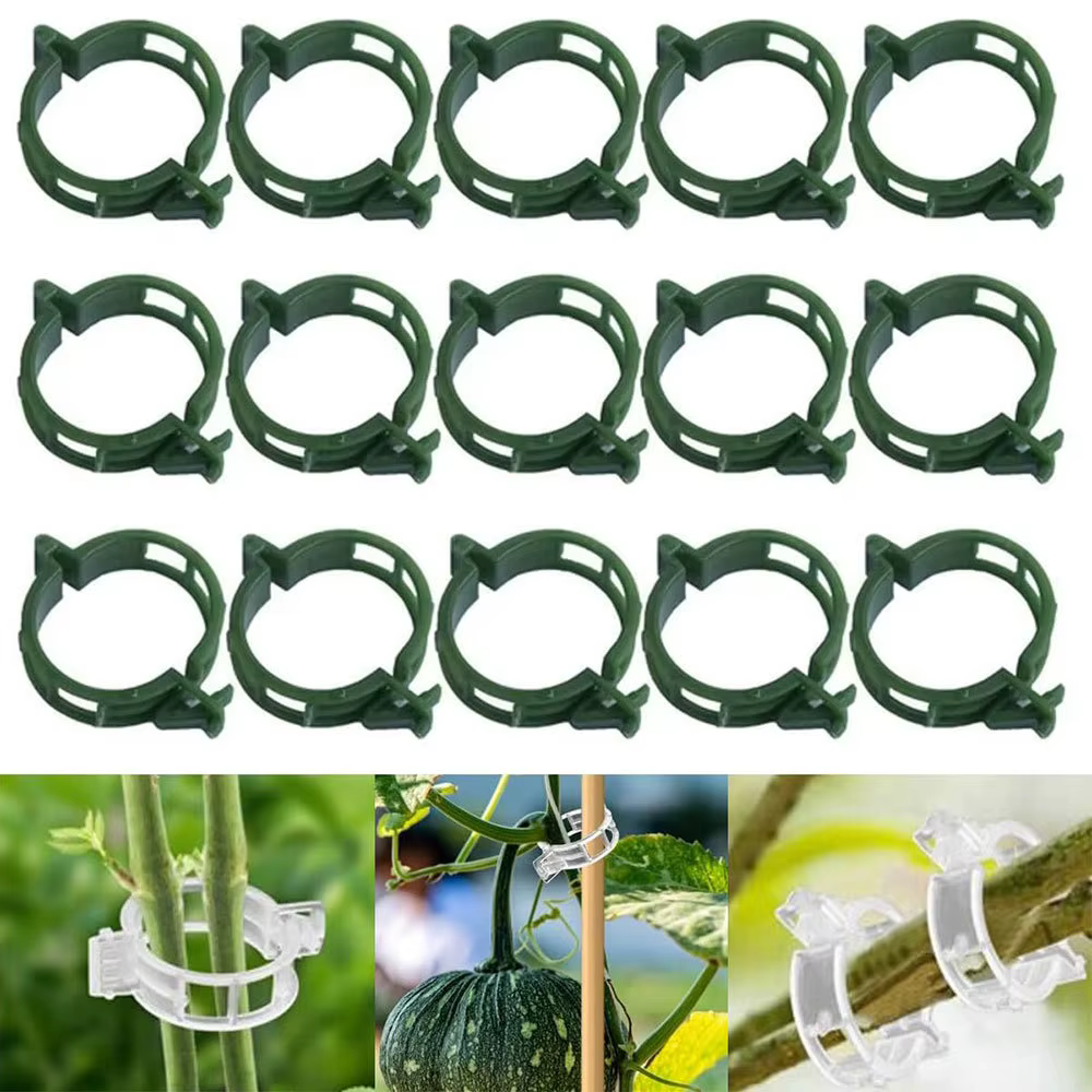 Clips de Support pour plantes en plastique