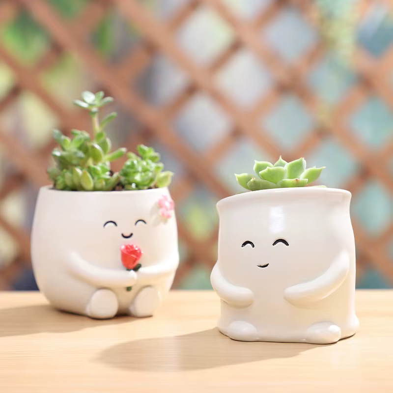 Mini Pot de plantes en résine avec visage Smiley