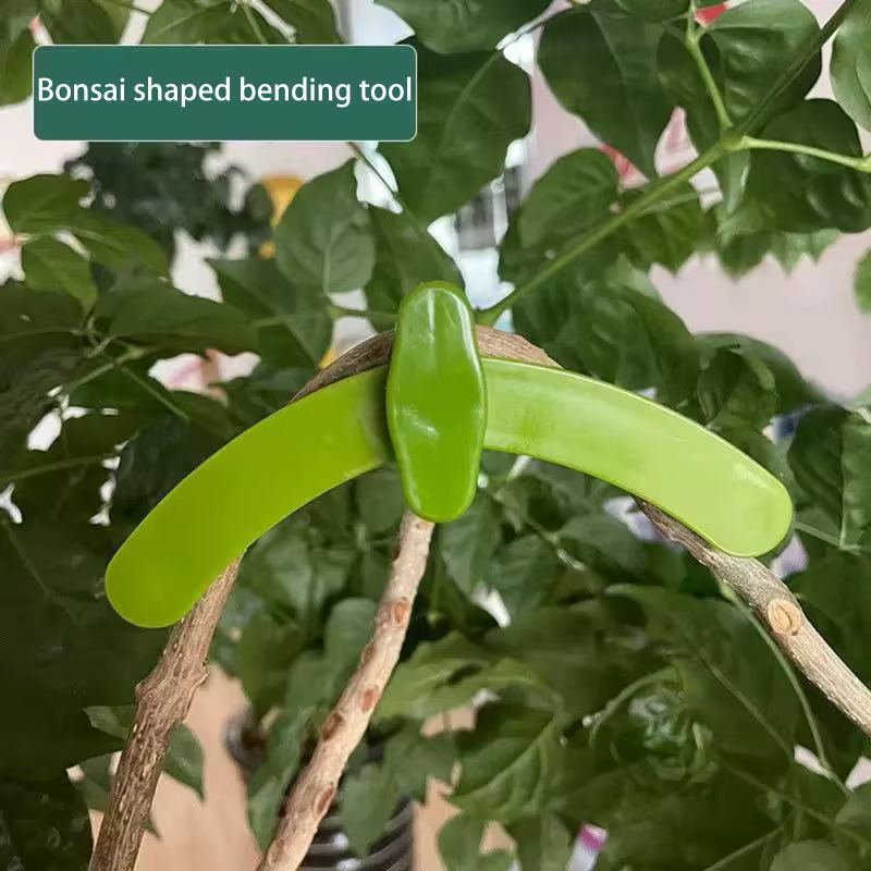 Clips de pliage de branches de plantes réutilisables