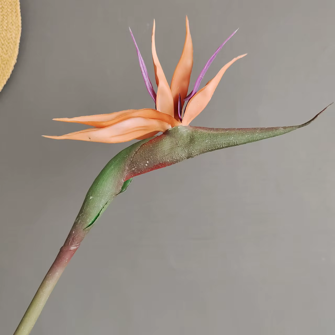 Les feuilles de bananier artificielles et les oiseaux du paradis conviennent aux décorations de maison