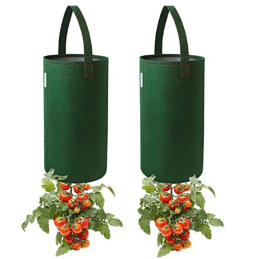 Pot de plantes à fraises en feutre végétal