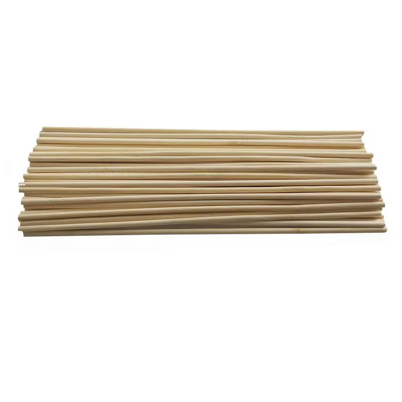 50 pièces bâtons de bambou plante de jardin Support fleur bâton canne outil de jardinage pour maison
