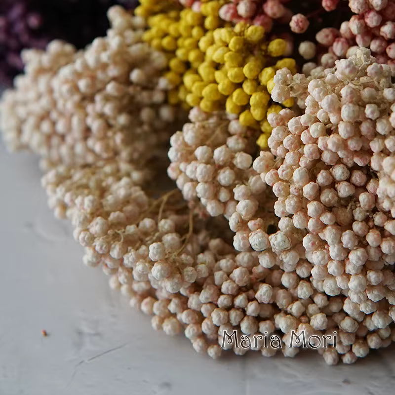 Fleur de Millet de riz