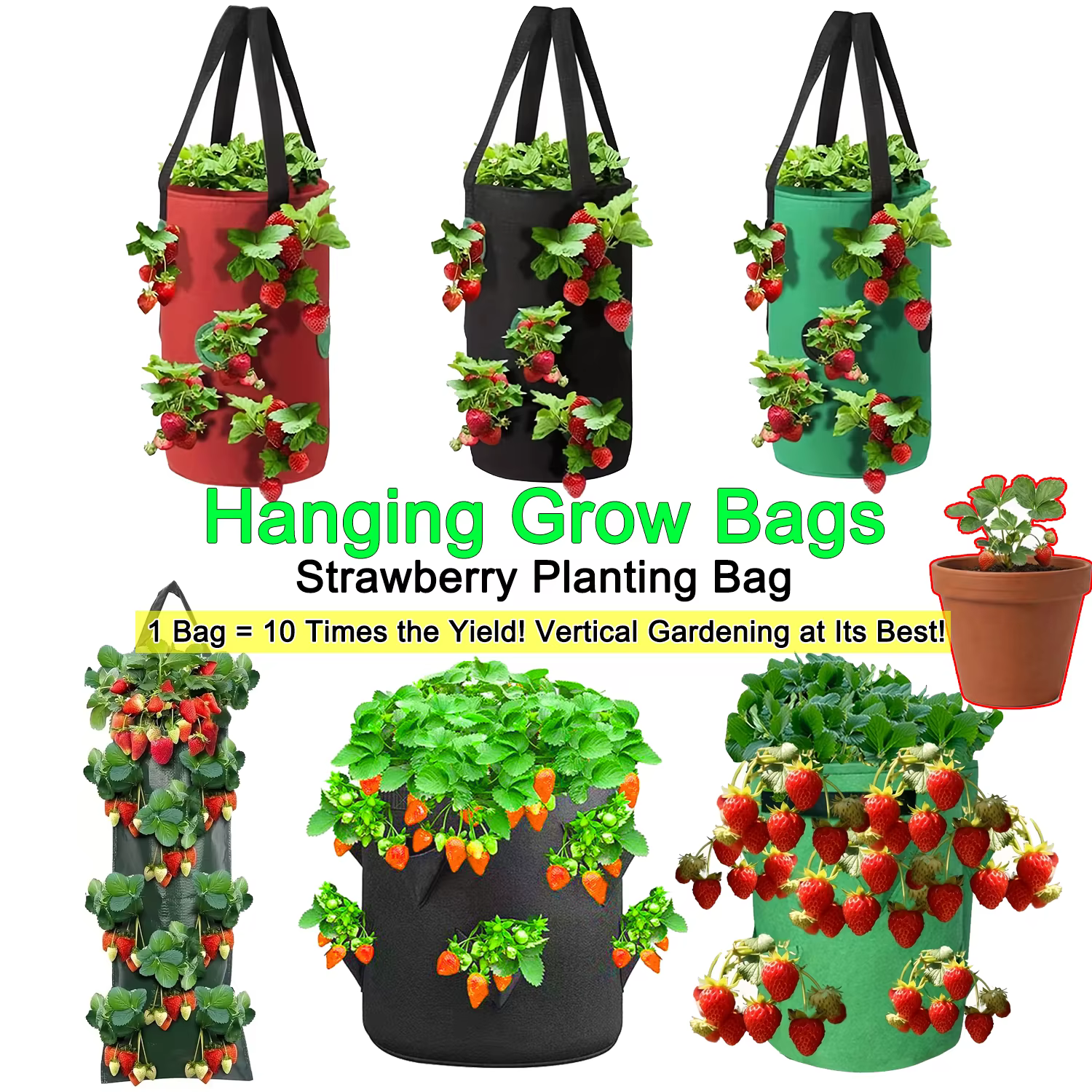 Sacs de culture suspendus pour fraises et tomates