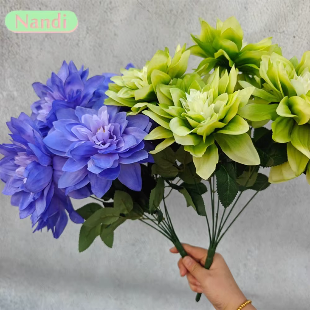 Simulation de fleur Dahlia à 7 têtes de grand diamètre
