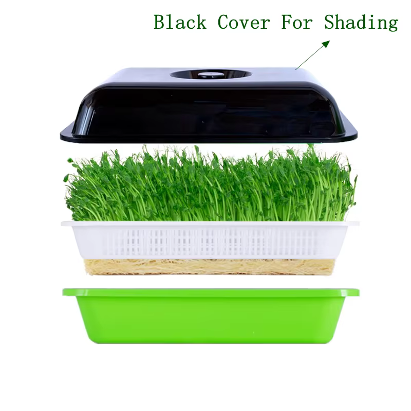 Plats à germer avec couvercle pour plantes à domicile