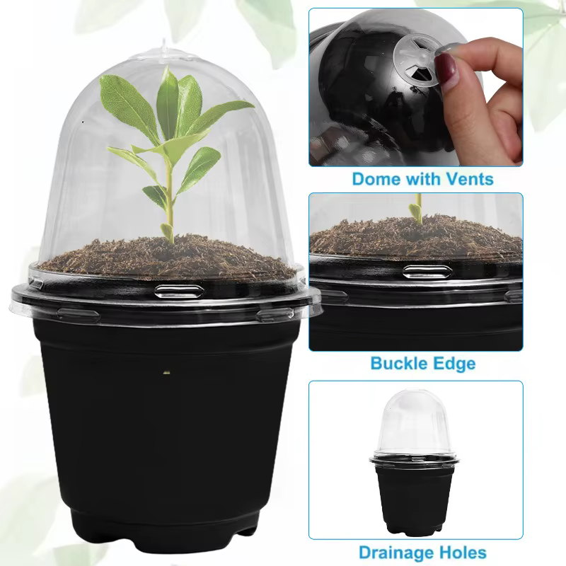 Pots de pépinière de semis