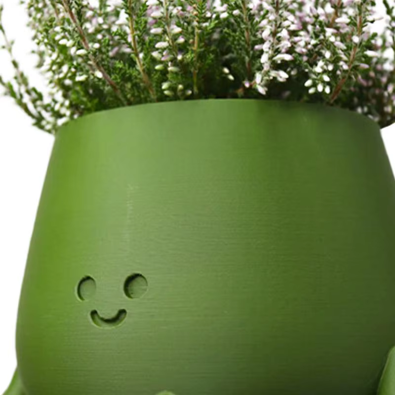 Pot de plante en résine avec visage souriant