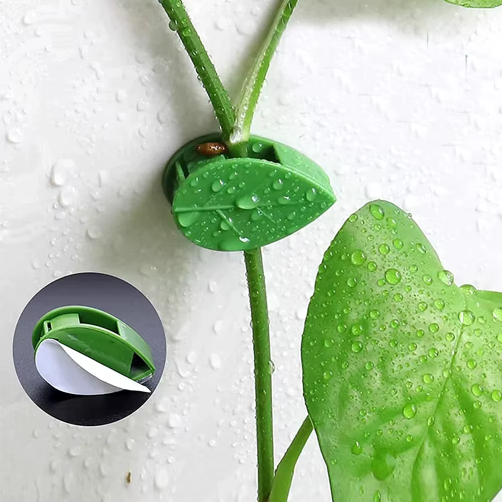 Support de Traction pour plantes de vigne