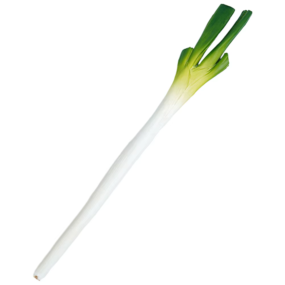 Simulation d'oignons artificiels