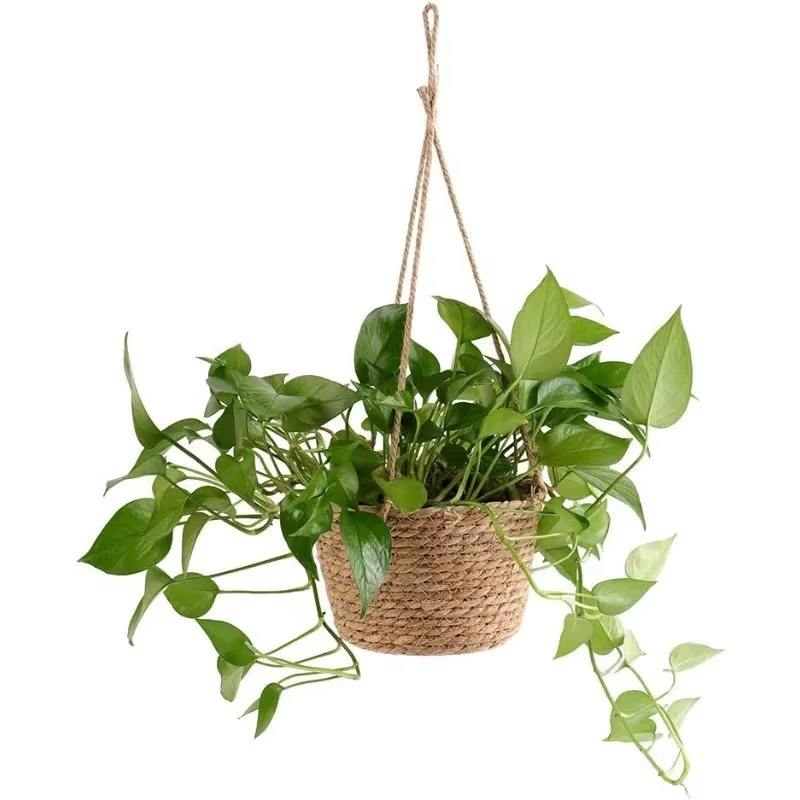 Pot suspendu de jardin en macramé