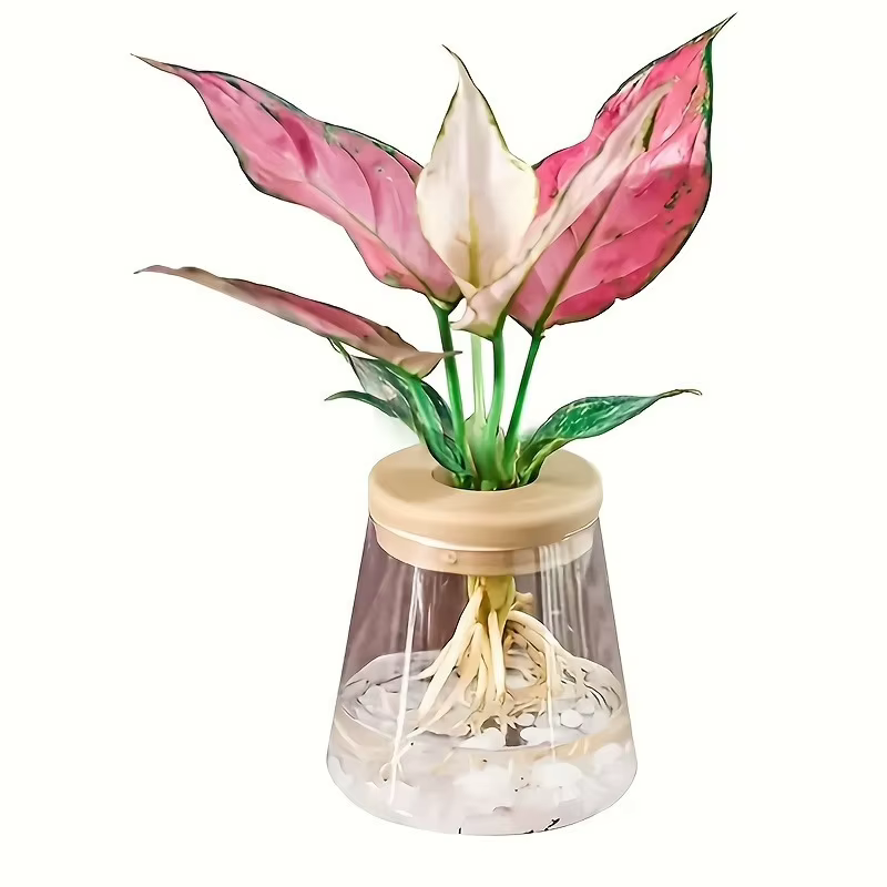 Station de culture de plantes