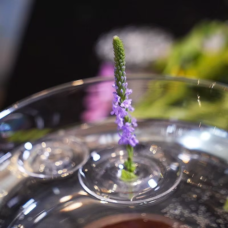 Vase à fleurs flottant en verre : présentoir hydroponique