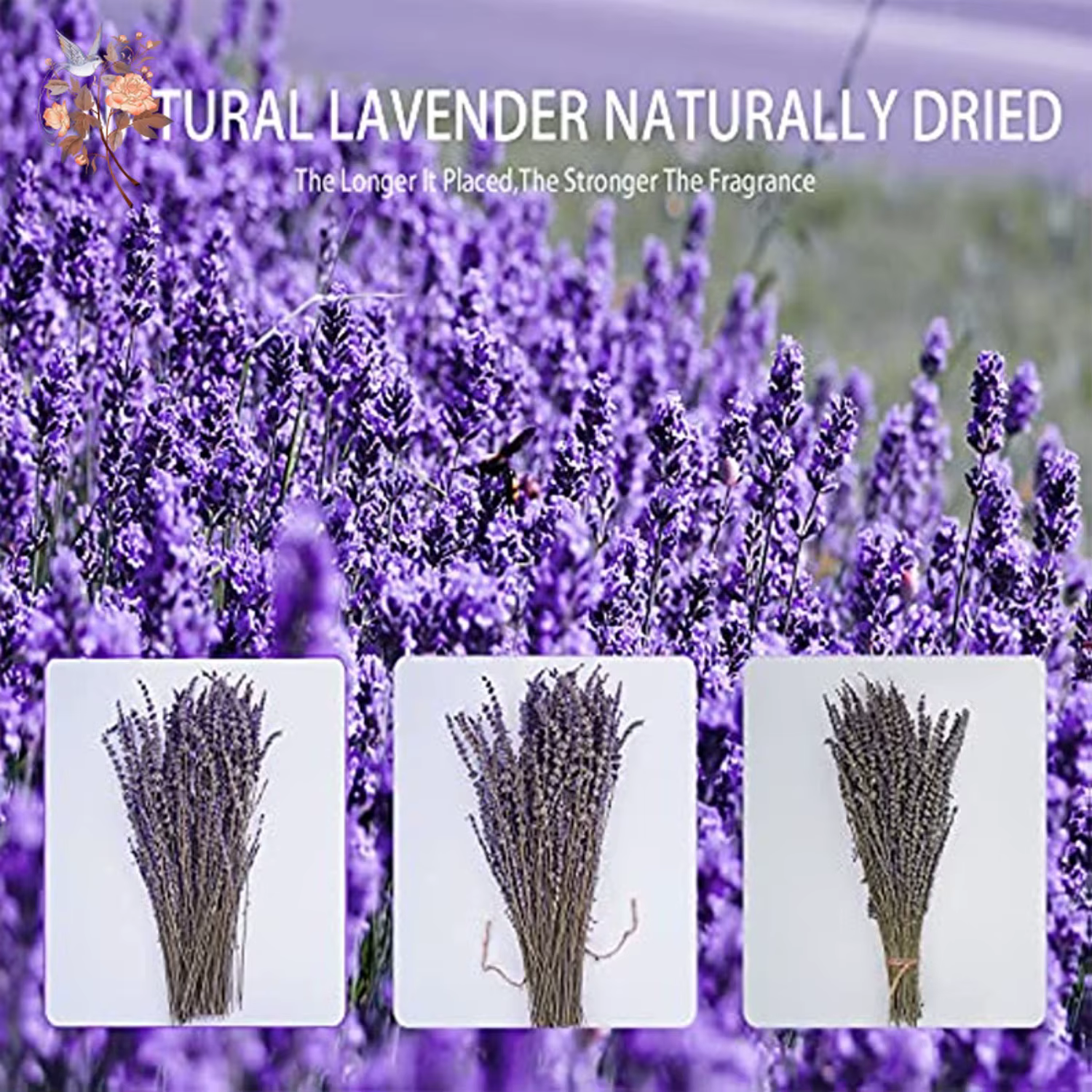 Bundles de fleurs de µséchées naturelles