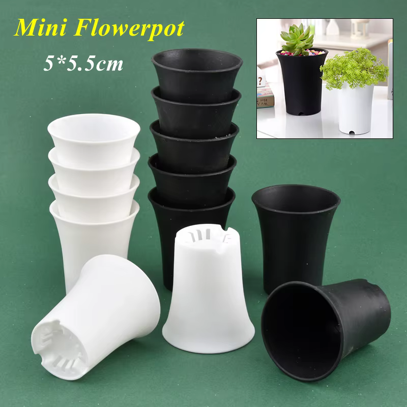 Mini pot de fleurs pour plantes succulentes