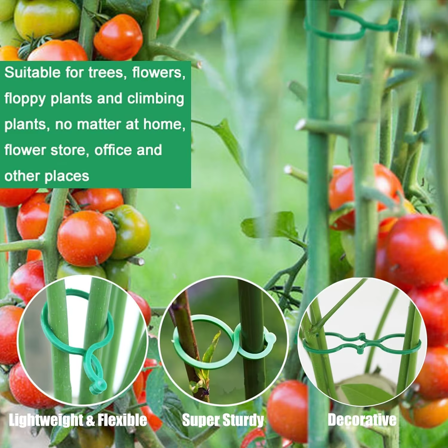 Clips de jardinage pour plantes grimpantes