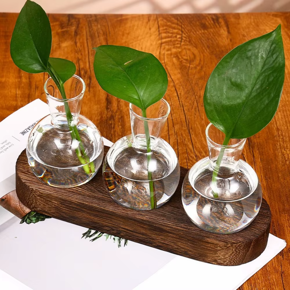 Vase en verre moderne, terrarium avec plateau en bois