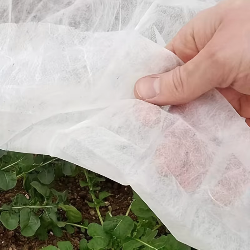 Couverture de plante anti-gel