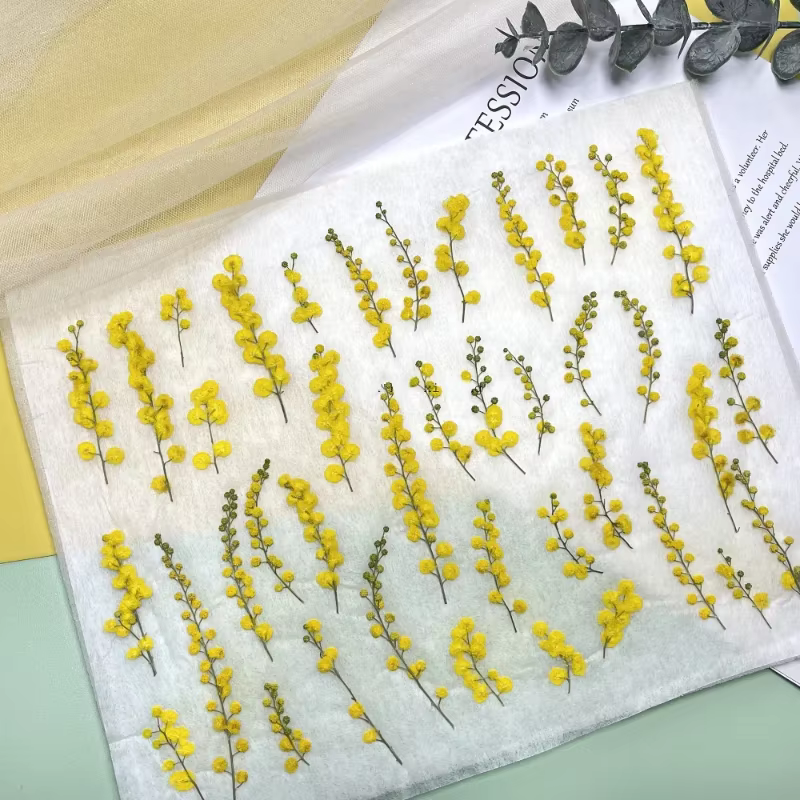 3-10cm/24pcs, Fleurs séchées en acacia gaufré