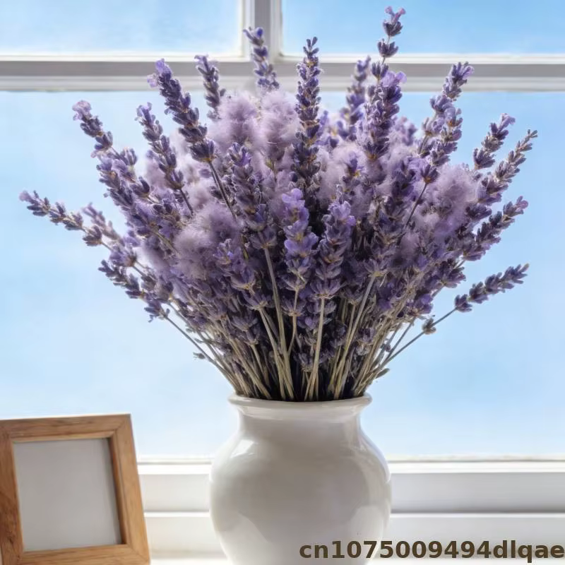 Fleur de lavande pour Sachet de pot-pourri