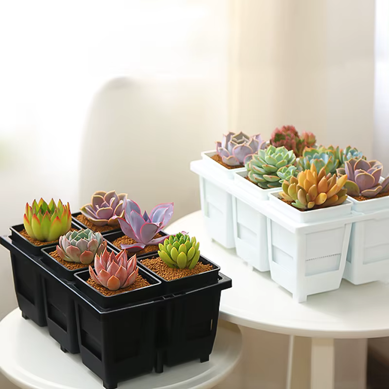 Pots succulents en maille avec trous