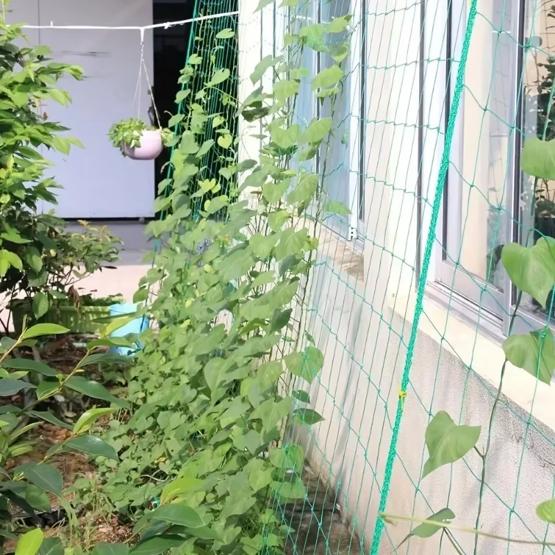 Filet d'escalade pour plantes de jardin