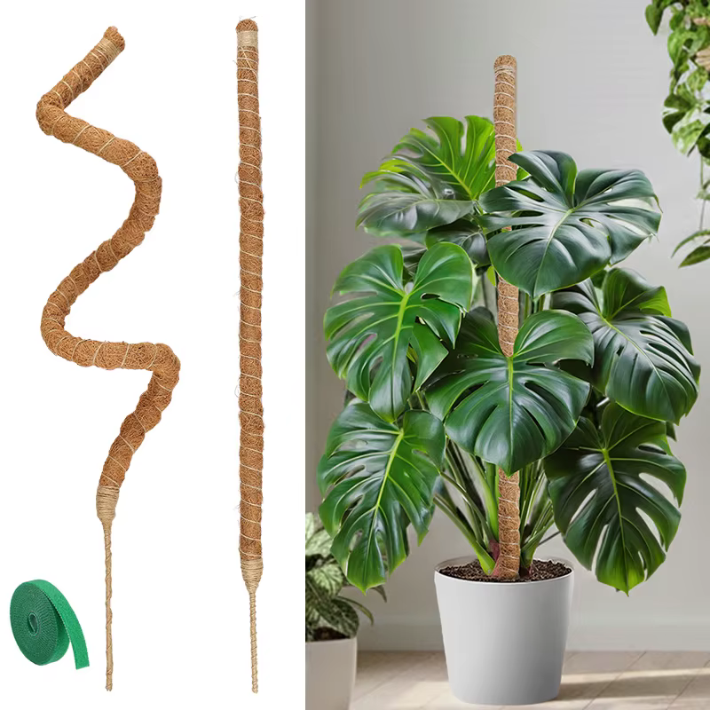 Support de Plantes en Fibre de Coco Flexible pour Trepieds