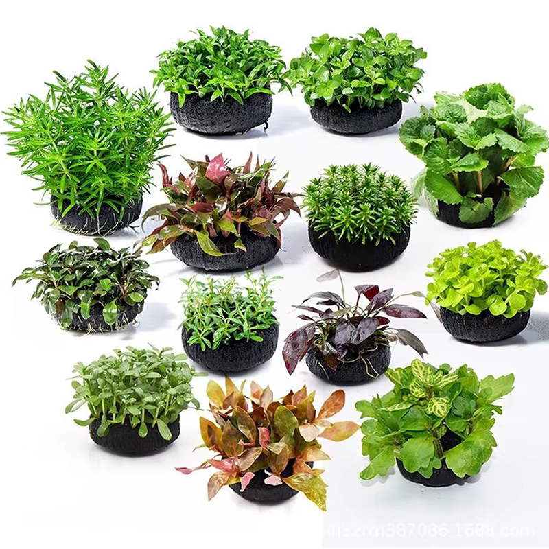 Ensemble de substrat noir en deux parties pour la plantation en aquarium ; base décorative pour protéger les racines des plantes aquatiques