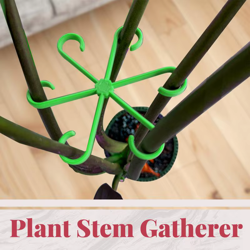 Tige de plante réutilisable