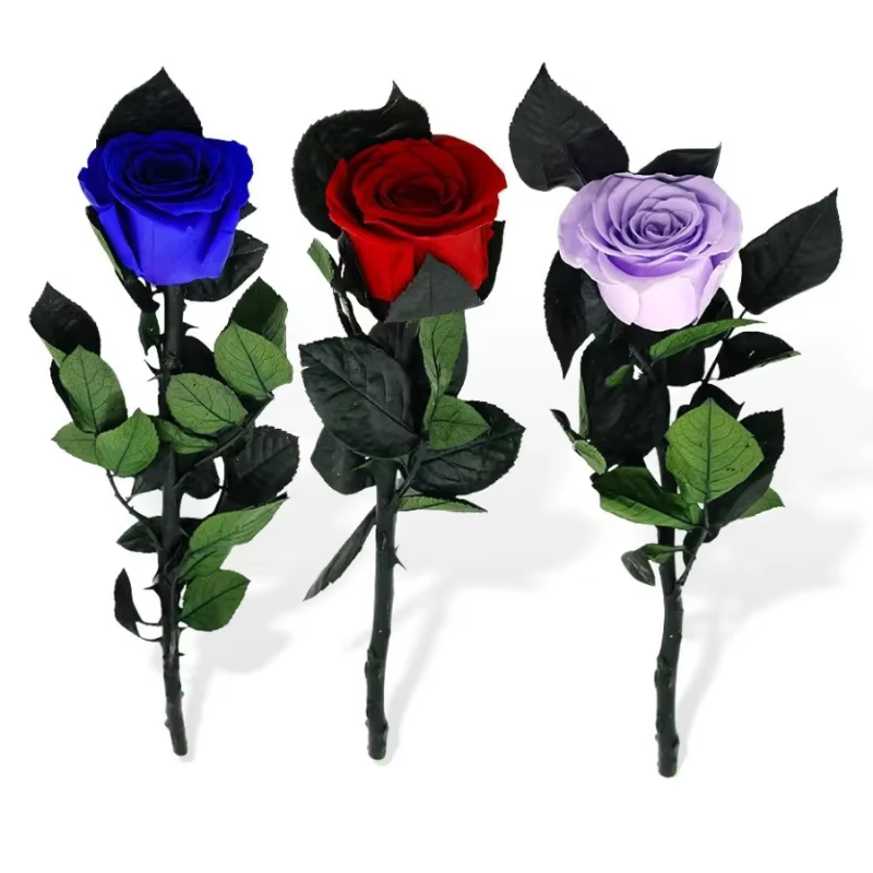 Boîte cadeau de roses à tige unique