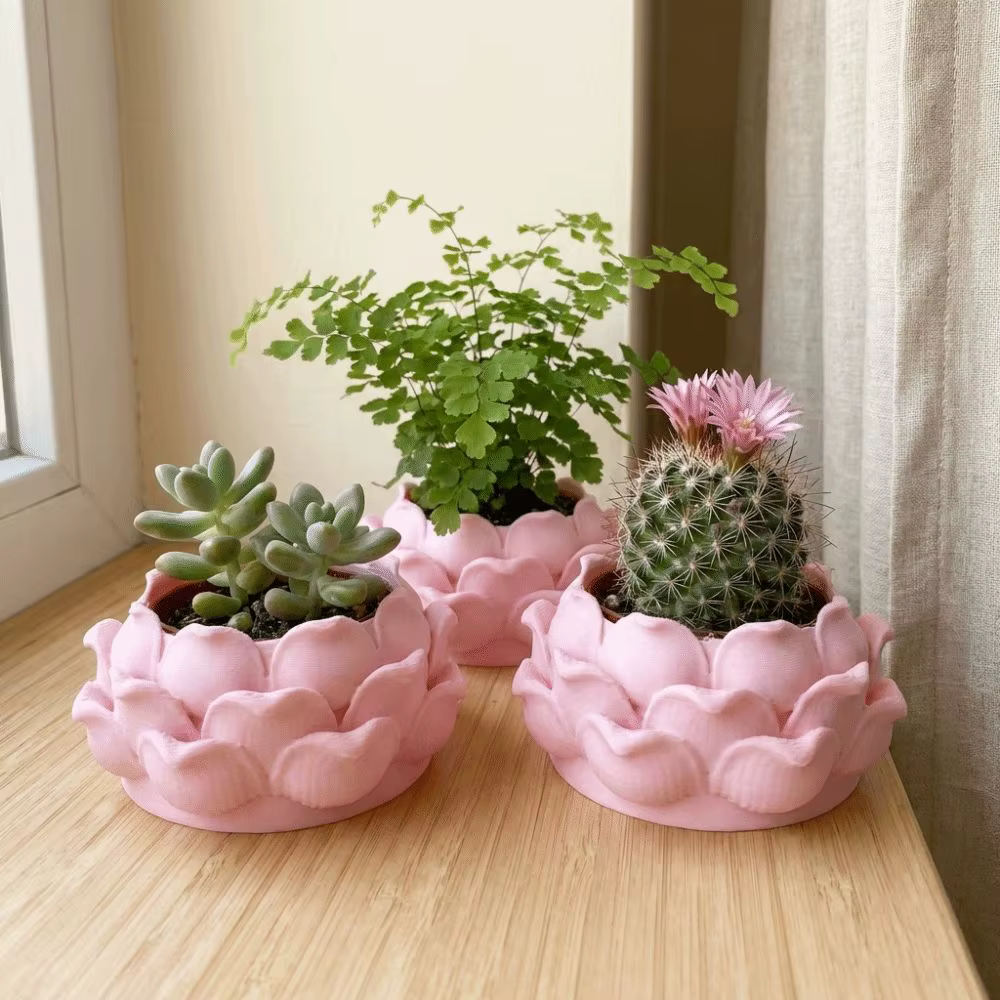 Pot de plante succulente en forme de lotus