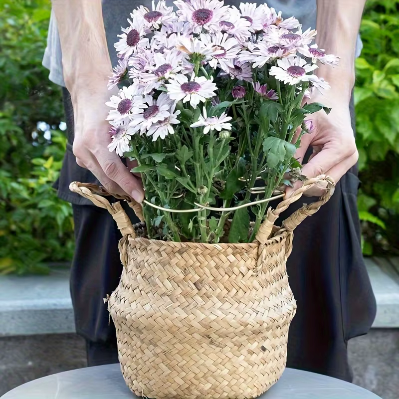 Grand support pour plantes suspendues