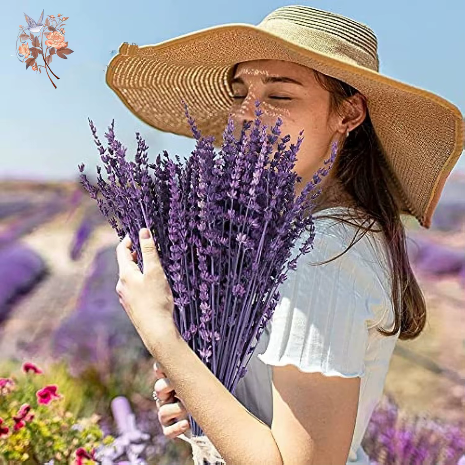 Bundles de fleurs de µséchées naturelles
