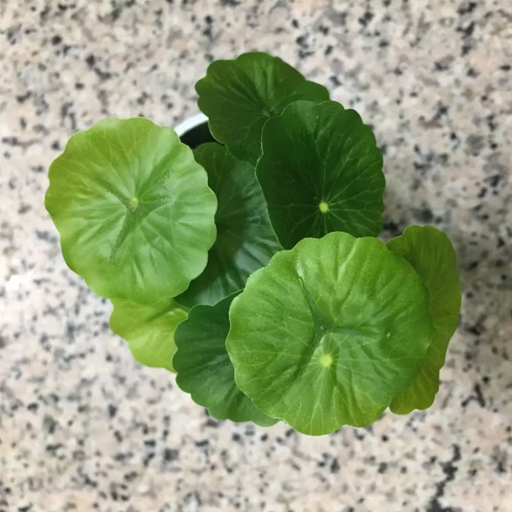 Plante verte 9 têtes, feuille de Lotus artificielle en plastique
