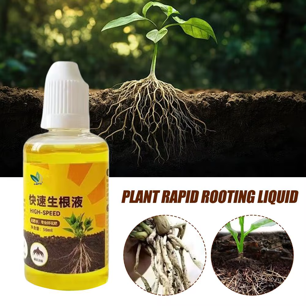 Stimulateur de racines liquide rapide 50 ml