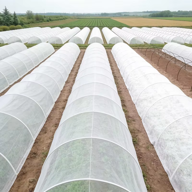 Couverture de protection contre le froid pour plantes