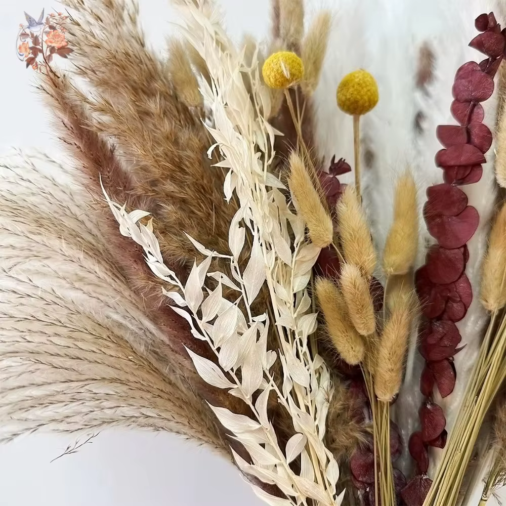 Bouquet de fleurs séchées de Pampas naturelles