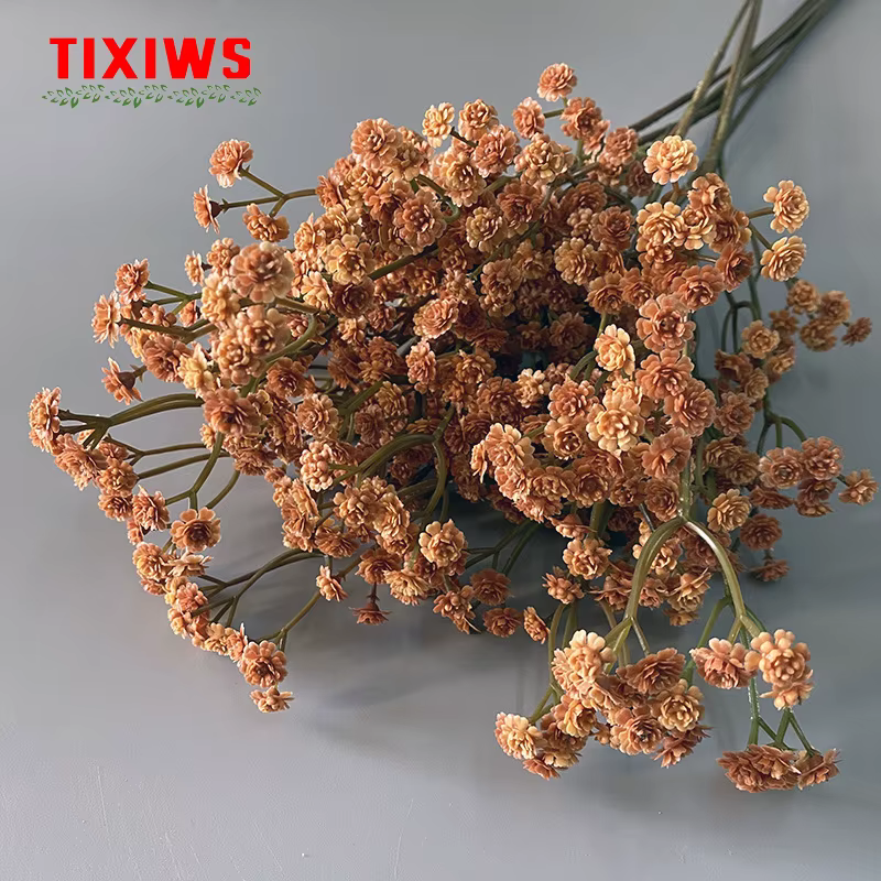 Fleur séchée Gypsophila de 62 cm de haute qualité