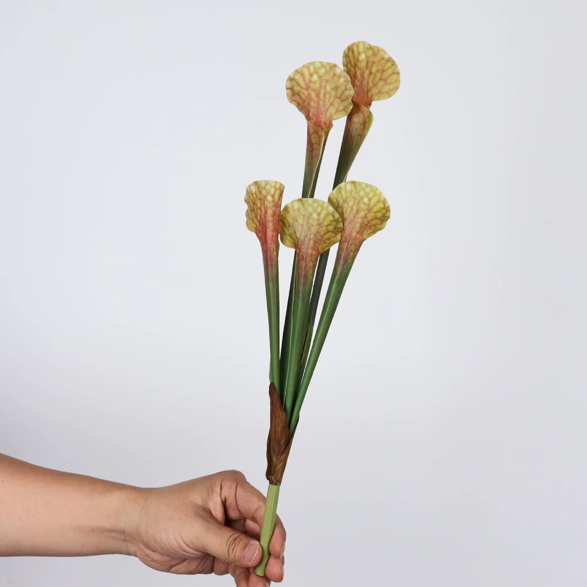 Brosse à bouteille artificielle de 17 pouces