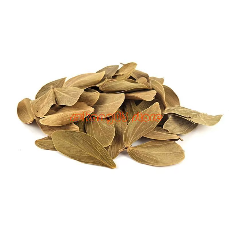 J6pc terminalia catappa foetida quitte les amandes îles Ammandes Feuille poisson Traitements