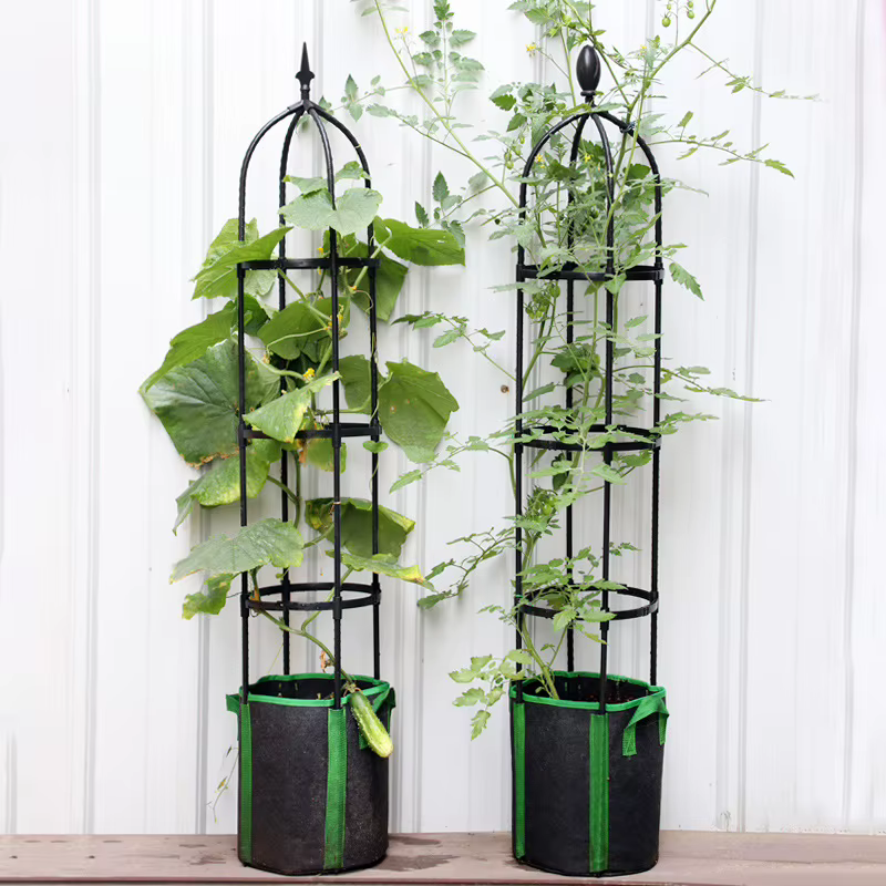 Cadre de Support pour Plantes Grimpantes en Treillis