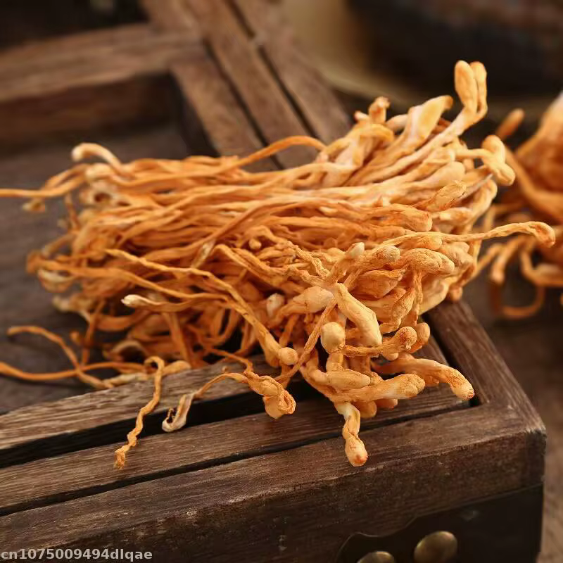 Fleur de Cordyceps séchée 100% naturelle