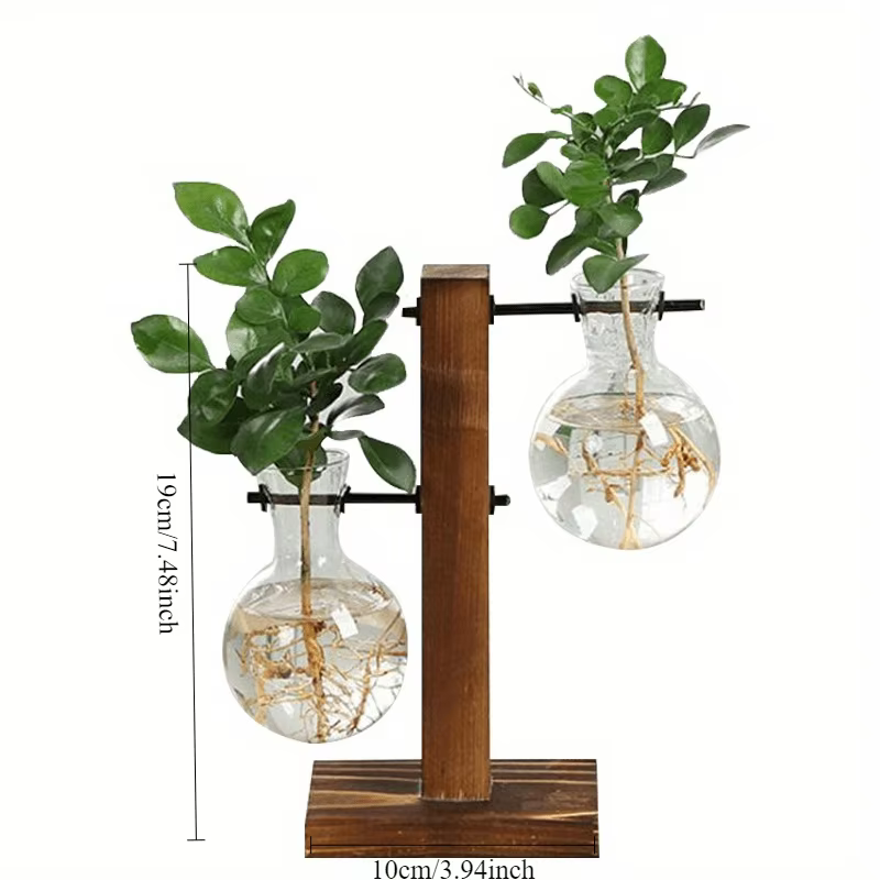 Vases à plantes hydroponiques