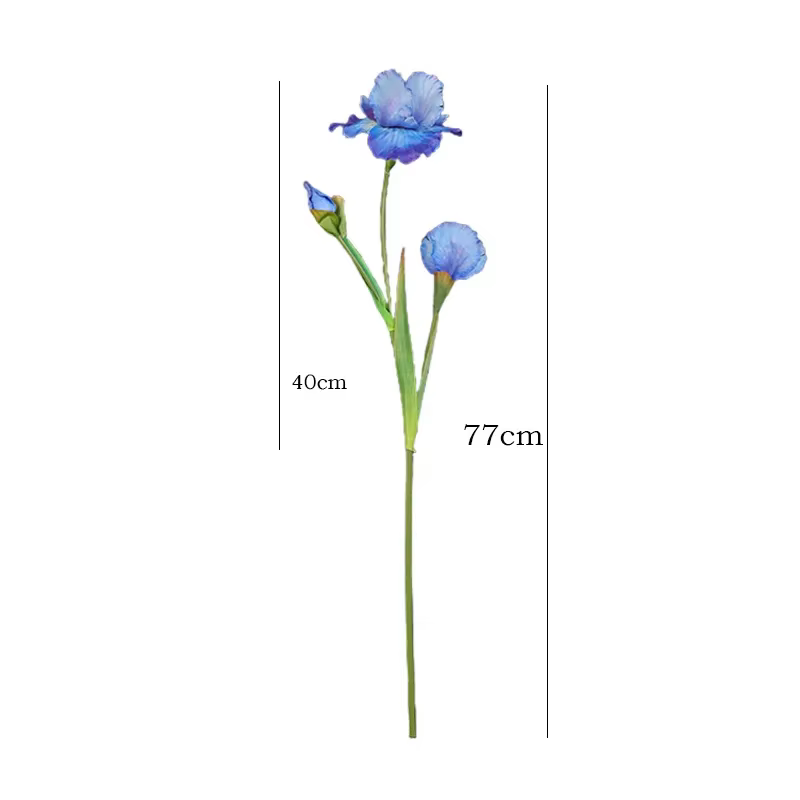 77CM Iris fleur