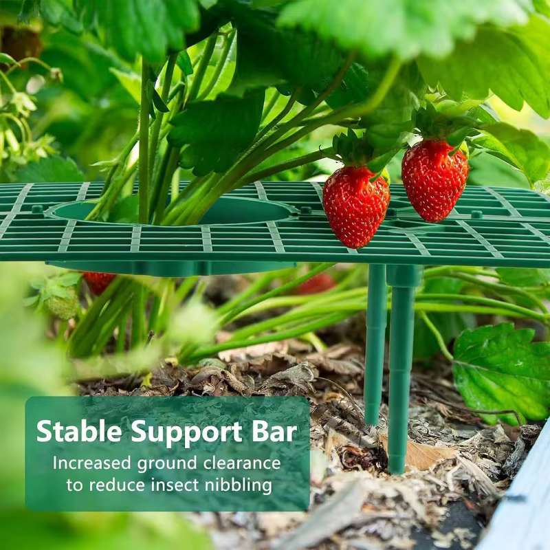 Supports pour plantes à fraises