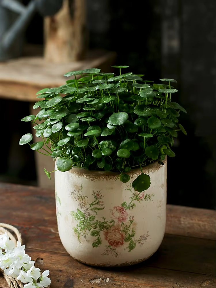 Pot de fleurs en céramique rose vieilli style vintage français pour plantes vertes