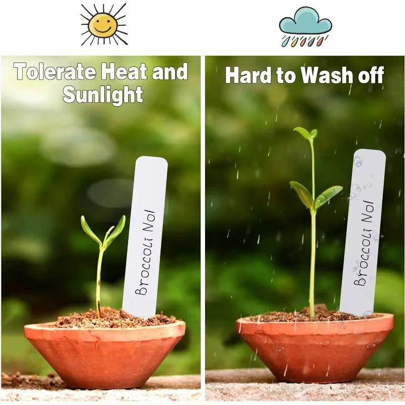 Étiquettes de plantes en plastique 100/300x