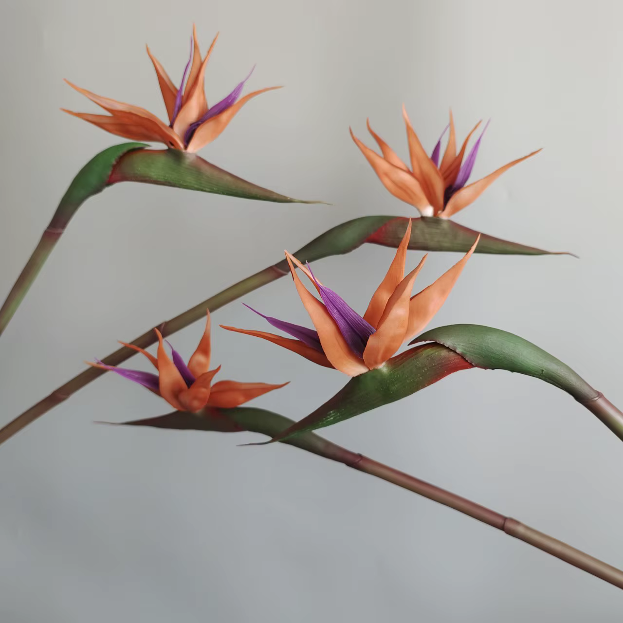 Oiseau du paradis en plastique souple de 82cm