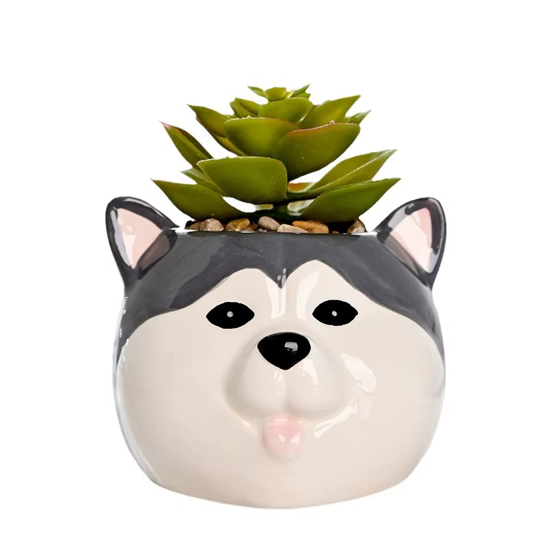 Pot de fleur succulente en céramique