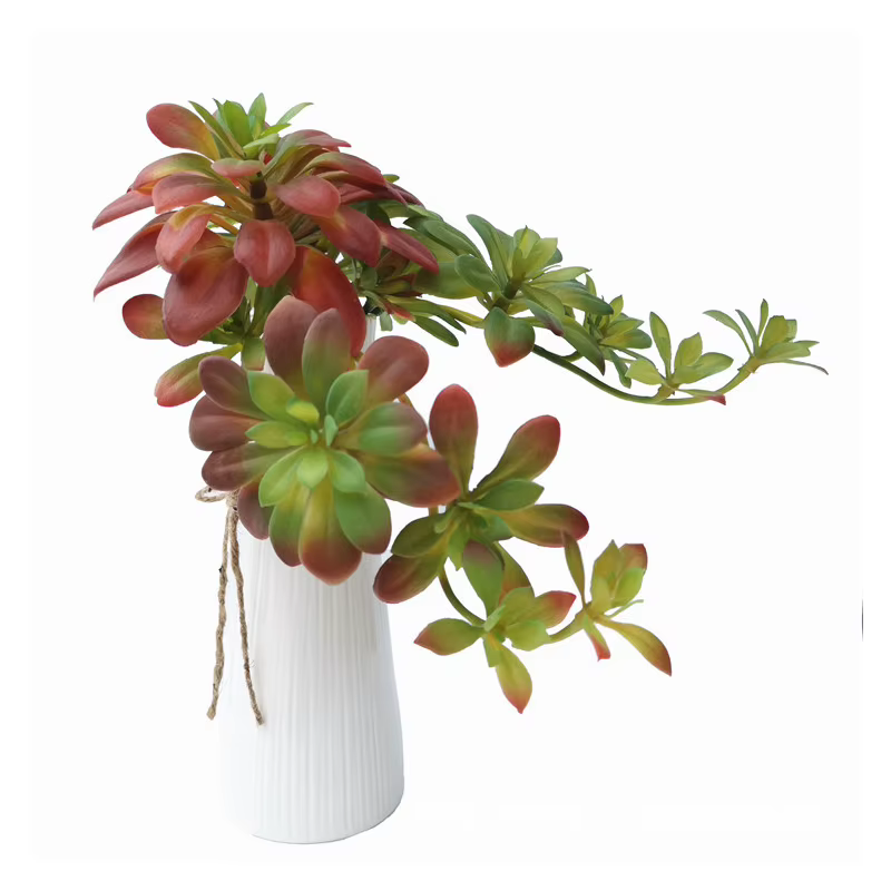 Plantes succulentes artificielles vertes et rouges